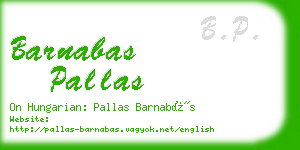 barnabas pallas business card